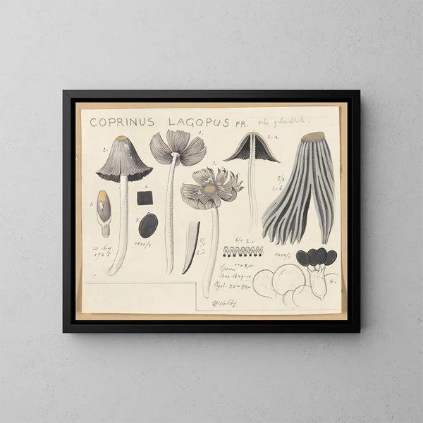 Coprinus lagopus - Hans Baldung — ingelijst kunstwerk aan de muur