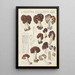 Edible Gyromitre Painting - Hans Baldung — framed artwork on a wall