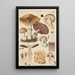 Psalliota silvatica Schaeffer - Hans Baldung | Reproduction — ingelijst kunstwerk aan de muur