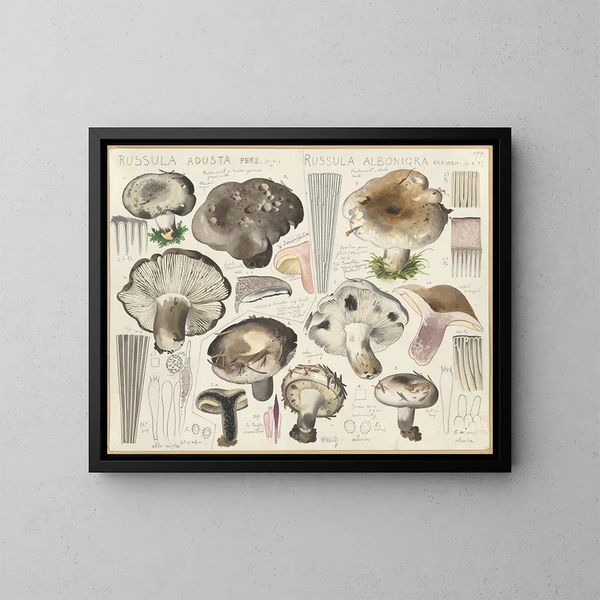 Russule aduste Russule albonigra - Hans Baldung — ingelijst kunstwerk aan de muur