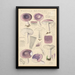 Russula azurea - Hans Baldung — ingelijst kunstwerk aan de muur