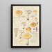 Russula fellea - Hans Baldung — ingelijst kunstwerk aan de muur