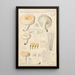 Russula lactea - Hans Baldung — ingelijst kunstwerk aan de muur