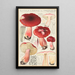 Russula linnaei - Hans Baldung — ingelijst kunstwerk aan de muur