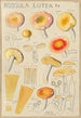 Russula lutea - Hans Baldung — artwork view