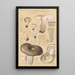 Russula nigricans - Hans Baldung — framed artwork on a wall