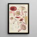 Russula rosacea - Hans Baldung — ingelijst kunstwerk aan de muur