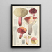 Russula secretan - Hans Baldung — framed artwork on a wall