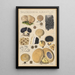 Scleroderma aurantium Pers - Hans Baldung — framed artwork on a wall