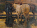 Paarden in de plas - Hans von Hayek — weergave van het kunstwerk