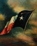 Texas Vlag Schilderij - Harco Schutter — weergave van het kunstwerk