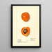 Prunus mume Sharpe - Harriet L Thompson — framed artwork on a wall