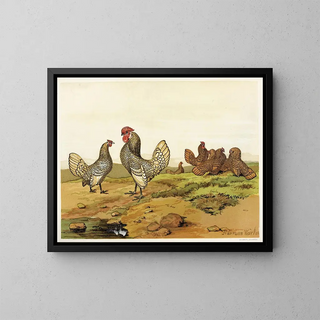 Harrison Weir - Gold and Silverlaced Bantams.webp