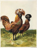 Polonais schilderij met gouden glitters - Harrison Weir — weergave van het kunstwerk