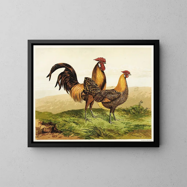 Hambourgs goudkleurig potlood - Harrison Weir — ingelijst kunstwerk aan de muur