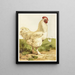 Coq Cochin wit - Harrison Weir — ingelijst kunstwerk aan de muur