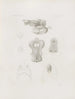 Mémoires du Musée de zoologie comparée du Harvard College Pl04 - Musée de Zoologie Comparée de l'Université Harvard — artwork view