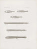 Memoires du Musée de zoologie comparée du Harvard College Pl56 - Musée de Zoologie Comparée de l'Université Harvard — weergave van het kunstwerk