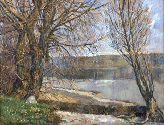 Heinrich Lotter - Am Ufer der Reichenau.webp
