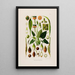 Aroideae Maximilianae Pl14 - Heinrich Wilhelm Schott — framed artwork on a wall