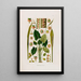 Aroideae Maximilianae Pl15 - Heinrich Wilhelm Schott — framed artwork on a wall