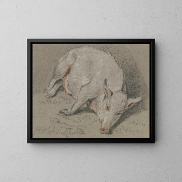 Varken liggend - Hendrik Willem Schweickhardt — ingelijst kunstwerk aan de muur