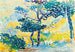 Provençaals landschap - Henri-Edmond Cross — weergave van het kunstwerk