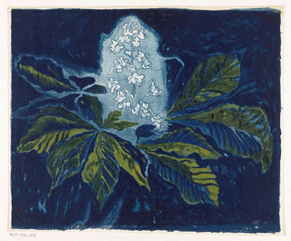 Henri Braakensiek - Kastanje.webp