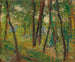 Bosgrond - Henri Martin — weergave van het kunstwerk