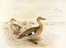 Malagasy teal painting - Henrik Grönvold — artwork view