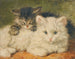 Twee katjes - Henriette Ronner-Knip — weergave van het kunstwerk