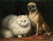 Twee vrienden - Henriette Ronner-Knip — weergave van het kunstwerk