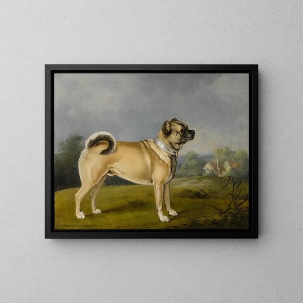 Een favoriete Franse Bulldog - Henry Bernard Chalon — ingelijst kunstwerk aan de muur