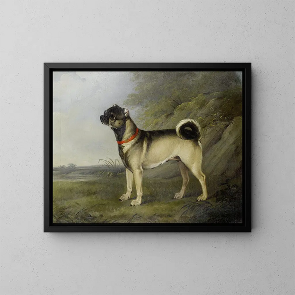 Een favoriete Franse Bulldog - Henry Bernard Chalon — ingelijst kunstwerk aan de muur