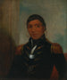 Chippewa van Big Buffalo - Henry Inman — weergave van het kunstwerk