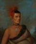Pes-Ke-Le-Cha-Co - Henry Inman — weergave van het kunstwerk