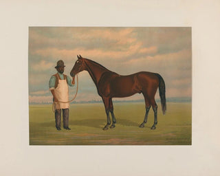 Henry Stull - Bonnie Scotland.webp