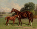 Castalie en de veulentje - Henry Stull — weergave van het kunstwerk