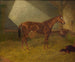 Een racepaard in een stal - Henry Stull — weergave van het kunstwerk