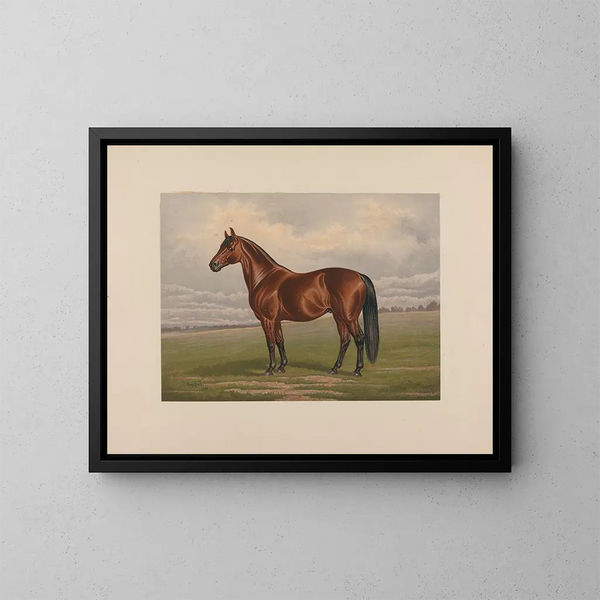 Harold - Henry Stull — ingelijst kunstwerk aan de muur
