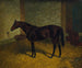 Hastings in een stallen - Henry Stull — weergave van het kunstwerk