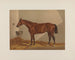 Luke Blackburn - Henry Stull — weergave van het kunstwerk