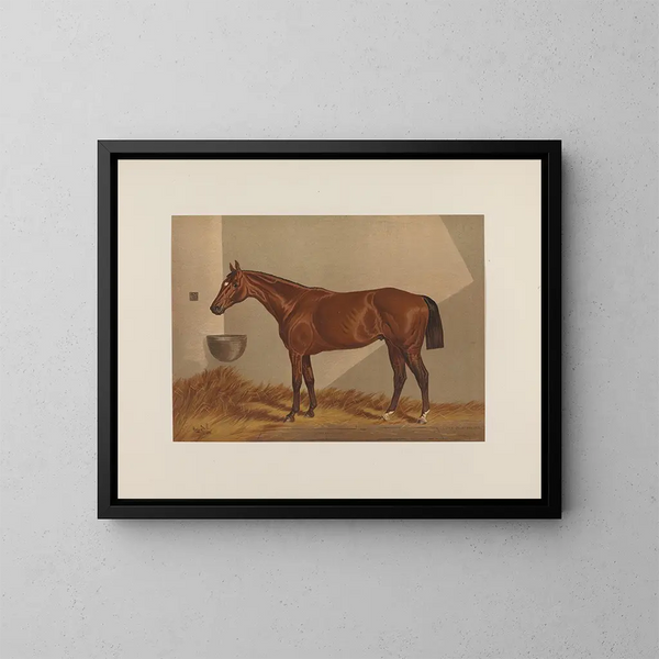 Luke Blackburn - Henry Stull — ingelijst kunstwerk aan de muur