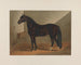 Messager Duroc - Henry Stull — weergave van het kunstwerk