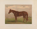 Piémont - Henry Stull — weergave van het kunstwerk