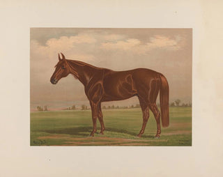 Henry Stull - Piedmont.webp