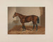 Paard van Ten Broeck Bay - Henry Stull — weergave van het kunstwerk
