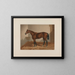 Paard van Ten Broeck Bay - Henry Stull — ingelijst kunstwerk aan de muur