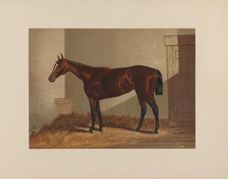 Henry Stull - Thora.webp