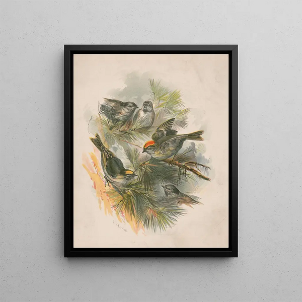 Henry Walker Herrick - Birds on pine boughs.webp